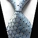 YanLen Lot 9 PCS Classic Men's 100% Silk Tie Necktie Woven JACQUARD Neck Ties (Set 2)