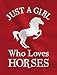 Tstars Just a Girl Who Loves Horses Hoodie Horse Gifts Equestrian Horseback Riding Kids Girls Hoodie Large Black