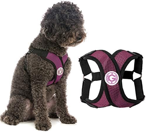 Gooby Dog Harness – Comfort X Step-in Small Dog Harness with Patented Choke-Free X Frame – Perfect on The Go No Pull Harness for Small Dogs or Cat Harness
