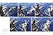 Great White Shark: Myth and Reality
