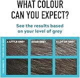 Just For Men Moustache & Beard M35 Medium Brown Dye - Eliminates Grey view 6
