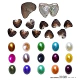 2017 Fashion 7-8mm Oysters with Large Oval Pearl Inside Birthday Gifts (Random Color 10 PCS) (7-8mm)