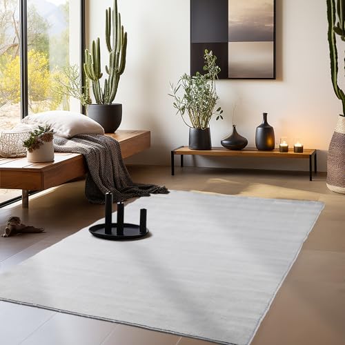 HomebyHome Waschbarer Teppich Kurzflor 240x340 cm Silber Modern Einfarbig Weich rutschfest Pflegeleicht Maschinenwaschbar für Wohnzimmer Schlafzimmer
