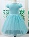 Eyekepper Kids Children Girls Cartoon Elsa Princess Cosplay Mesh Bubble Dress Blue