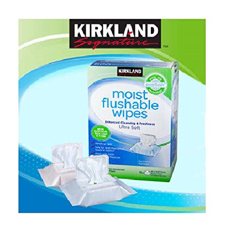 kirkland wipes amazon
