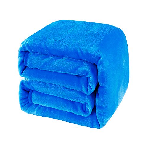 Hiseeme 60x80 17 lbs Blue