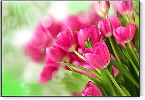 Amazon Co Jp ライト高級 クリスタル磁器の装飾画 黒枠 花束ピンクの花 チューリップ 日光 アートパネル 壁掛け絵画 インテリアアート 現代 壁飾り 部屋飾り 壁ポスター 絵画 玄関 おしゃれ モダン 壁掛け 60cmx40cm ホーム キッチン