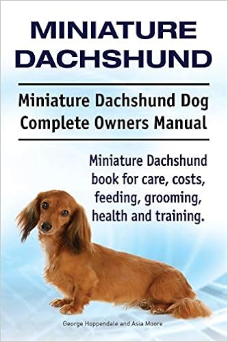 amazon dachshund