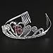 PIXNOR Birthday Party Rhinestone Crystal Tiara Crown - Sweet 16 Birthday Tiara