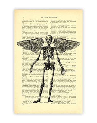 Amazon Com Halloween Winged Human Skeleton Bones Art Print Gothic Angel Anatomy Poster Handmade Products