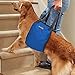 Dog Lift Harness Sling | Large ACL Brace for Rear Leg Support of Old K9 | Help Em Up Carrier Knee Limping Joint Hock Hip Injuries Arthritis Poor Mobility Veterinarian Approved Rehabilitation Recovery