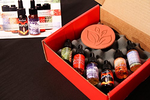 Stove Scents are liquid potpourri for your stove (SC6-TCS). Add a few drops in your steamer or TERRACOTTA scent stone. Six appealing scents and one scent stone included - Thumbnail 2