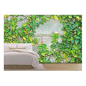 The Green Creeper Plant on a Wall - Removable Wall Mural | Self-Adhesive Large Wallpaper - 66x96 inches