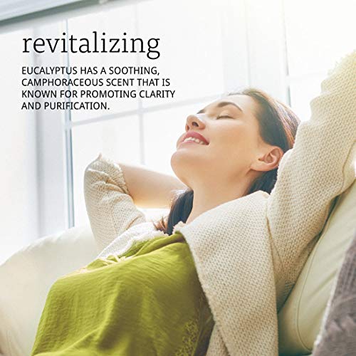 3 NOW+Eucalyptus+Essential+Oil+4+Ounce