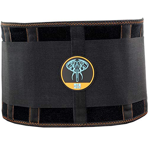 Lumbar Support Belt I Lower Back Brace by Everyday Medical I Targeted Lower Back Pain Relief for Back Spasms, Sciatica, Weight Lifting Waist Gym Belt for Sports I for Men and Women I Small/Medium