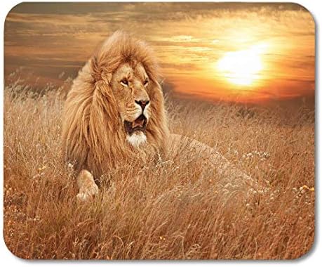 VANKINE Mouse Pads Africa of Lions in Grass Animal Majestic Wildlife Head Face Mouse pad 9.5" x 7.9" for Notebooks,Desktop Computers Accessories Mini Office Supplies Mouse Mats