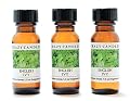English Ivy 3 Bottles 1/2 Fl Oz Each (15ml) Premium Grade Scented Fragrance Oil By Crazy Candles (Floral Herbal Blend Aroma)