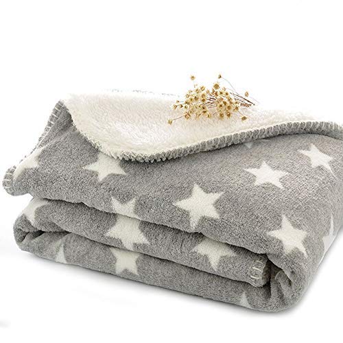 Dog Puppy Blanket Double Layer Micro Fleece Plush Pet Cat Warm Bed Cover Cushion Mat, 30 x 40 Inches, Grey, M
