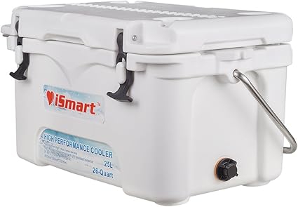 smart cooler box