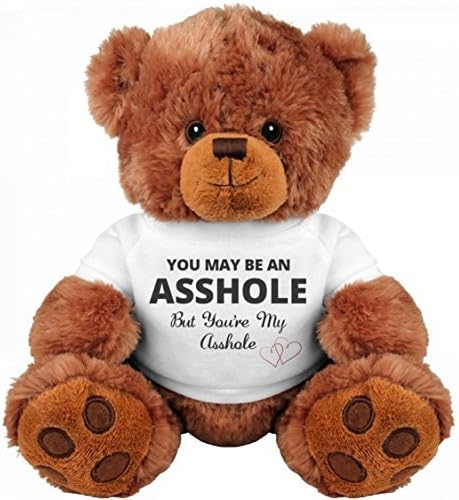 Funny Teddy Bear Couple Gift: Medium Teddy Bear Stuffed Animal Cute Romantic