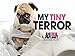 My Tiny Terror Season 1