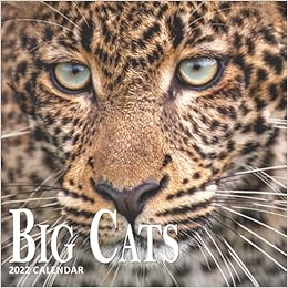 Big Cats Calendar 2022: 16 Months Planner (Sept 2021 To Dec 2022): Me, Patches And: 9798520449959: Amazon.com: Books