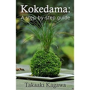 Kokedama: A step-by-step guide