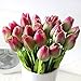 StillCool Artificial Flowers Tulip 12pc/set Pu Stunning Holland Mini Tulip Real Touch Wedding Flower Artificial Flowers Latex Plants for Party Home Hotel Event Christmas Gift Decoration (Greenpink)
