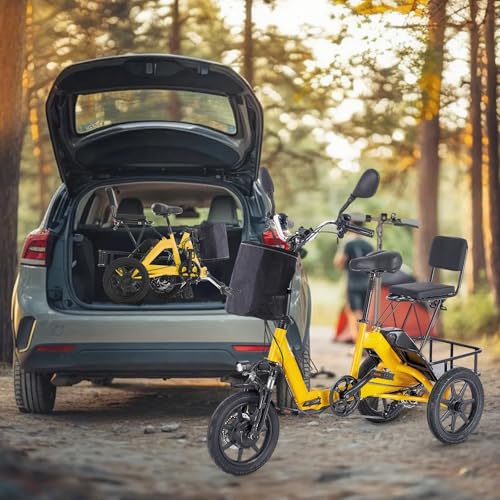 Electric Tricycle for Adults, Peak 500W Brushless Motor Electric Trike, 480Wh Removable Battery, Step-Thru 3 Wheel Electric Bike, 2 Seats, Up to 45 Miles, Folding E Trike Ebike, Gift for Parents