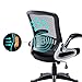 Kerms Ergonomic Adjustable Swivel Office Chair With Lumbar Support and Rollerblade Wheels-Mid Back With Breathable Mesh-Thick Seat Cushion-Flip Up Arms,Desk Chair Black