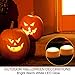 HOME MOST Halloween Pumpkin Lights with Remote and Timers - Orange Pumpkin Lights Battery Operated Halloween Decor - LED Lights Halloween - Jack-O-Lantern LED Lights Halloween Pumpkin Lights Battery