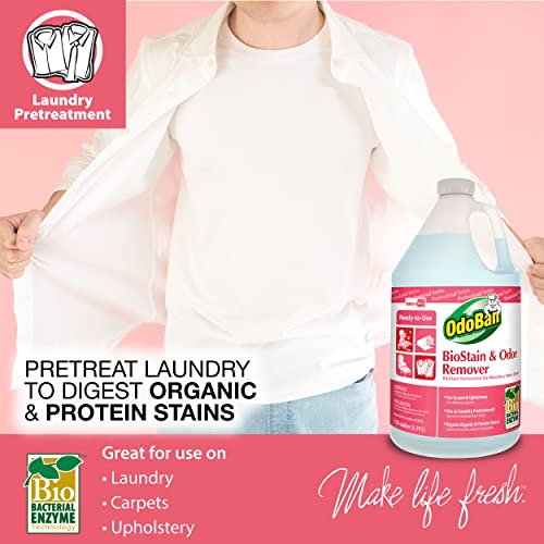 OdoBan Professional Cleaning ReadytoUse BioStain and Odor Remover, 1