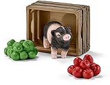 SCHLEICH NORTH AMERICA Schleich with Apples Miniature Pig