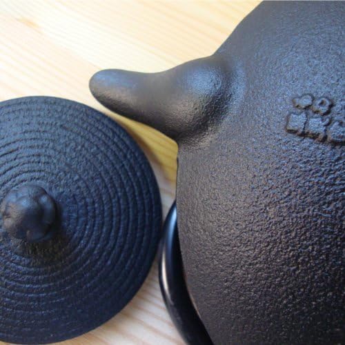 OIGEN及源鋳造盛栄堂 鉄瓶平形糸目