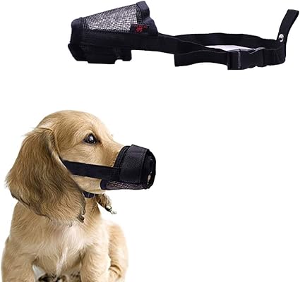 muzzle to keep dog from eating rocks