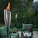 TIKI Brand Stainless Steel Torch, 60-Inch