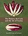 The Painter, the Cook, and the Art of Cucina by 