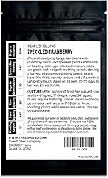 Speckled Cranberry Bean - 25 Seeds