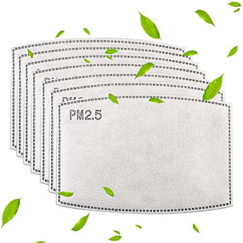 SZEETOX Filtres à Charbon Actif Remplaçable, Filtre à Charbon Actif PM 2,5 pour L’extérieur(100 pièces)
