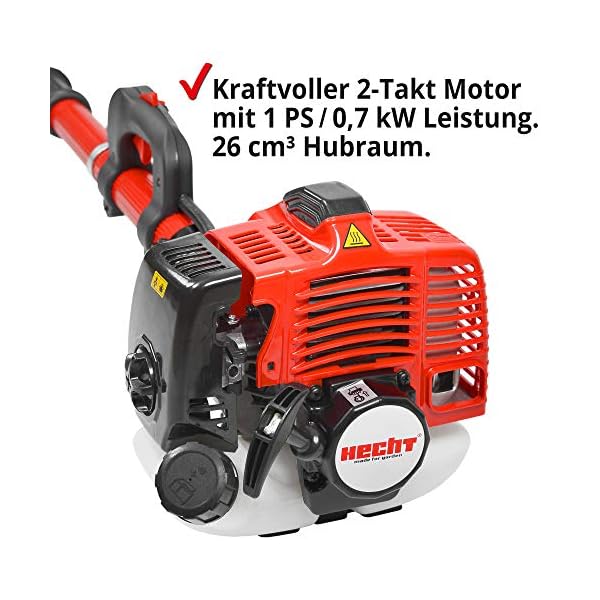 HECHT Benzin Hochentaster Teleskopsäge Motorsäge mit 26 ccm Hubraum, 34 cm Schwert und Teleskobstange bis zu 4,27 m… – Bild 6