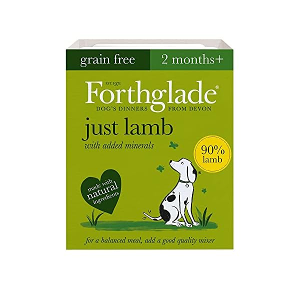 Forthglade-Complementary-Natural-Wet-Dog-Food-Grain-Free-Just-Variety-Pack-12-x-395-g-Trays-Chicken-Lamb-Beef Forthglade Complementary Natural Wet Dog Food - Grain Free & Vegetables Just Variety Pack (12 x 395g) Trays - 90…