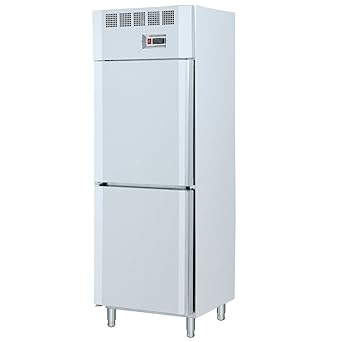 Macfrin 705 Armario Frigorífico GN21 70X80 de 2 Puertas: Amazon.es ...