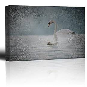 Lone Swan on a Lake with a Grainy Vignette Around It - Canvas Art Home Art - 12x18 inches