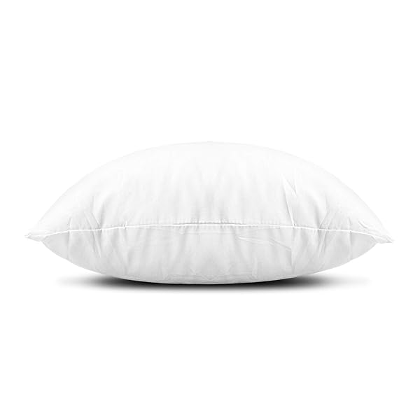 EDOW THROW PILLOW INSERTS, SET OF 4 LIGHTWEIGHT DOWN ALTERNATIVE POLYESTER PILLOW, COUCH CUSHION, SHAM STUFFER, MACHINE WASHABLE. (WHITE, 20X20)