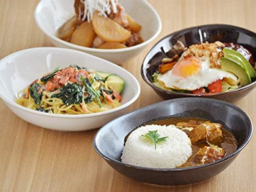 テーブルウェアイースト カレー皿