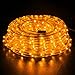 WYZworks 576LEDs, 50ft LED Outside Rope Lights, Waterproof Permanent Outdoor ETL Certified Connectable Clear Tube, Christmas Palm Tree Holiday Decorative Landscape Patio Accent Lighting - Orange