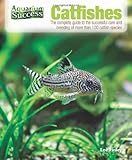 Catfishes by 