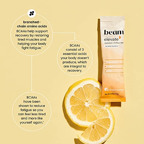 Beam Organics, Elevate Hydration Recovery, Fresh Lemon, 15 Single Serve