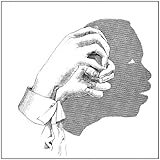 FOLLOWING SHADOW                                   image