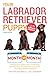 Your Labrador Retriever Puppy Month by Month, 2nd Edition: Everything You Need to Know at Each Stage of Development (Your Puppy Month by Month) by Terry Albert, Debra Eldredge DVM